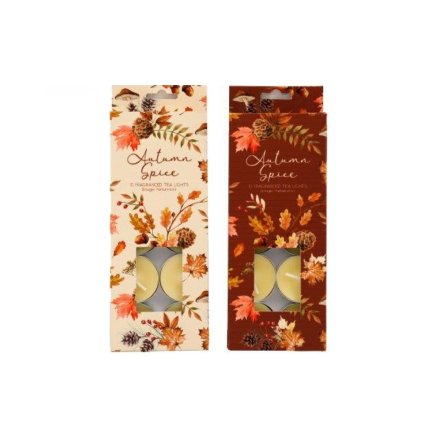 Two packages of 'Autumn Spice' candles with leaf and pine cone designs on a white background.