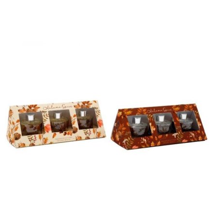 Set of 3 fragranced diffusers in 2 styles of autumnal packaging 