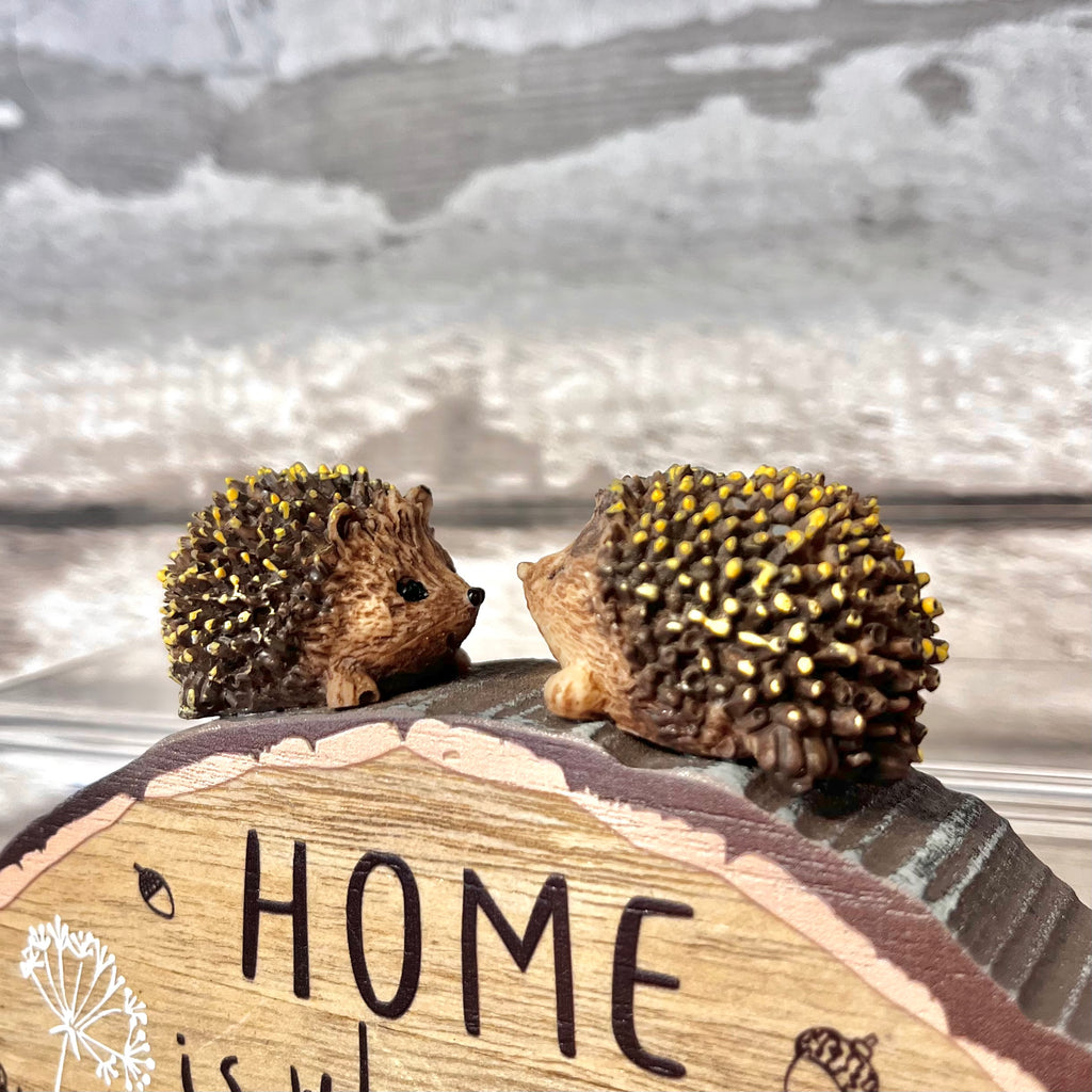 Two hedgehog figurines sitting on a wooden sign with 'HOME' engraved, against a snowy landscape.